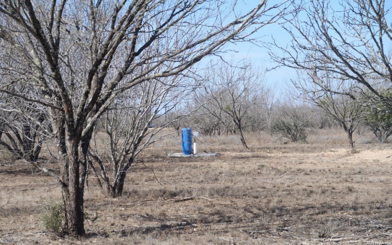 146 Frio Estates Dr, Moore, TX 78057, 4 Habitaciones Habitaciones , ,2 BañosBaños,Residential,En Venta,146 Frio Estates Dr,0,1937796