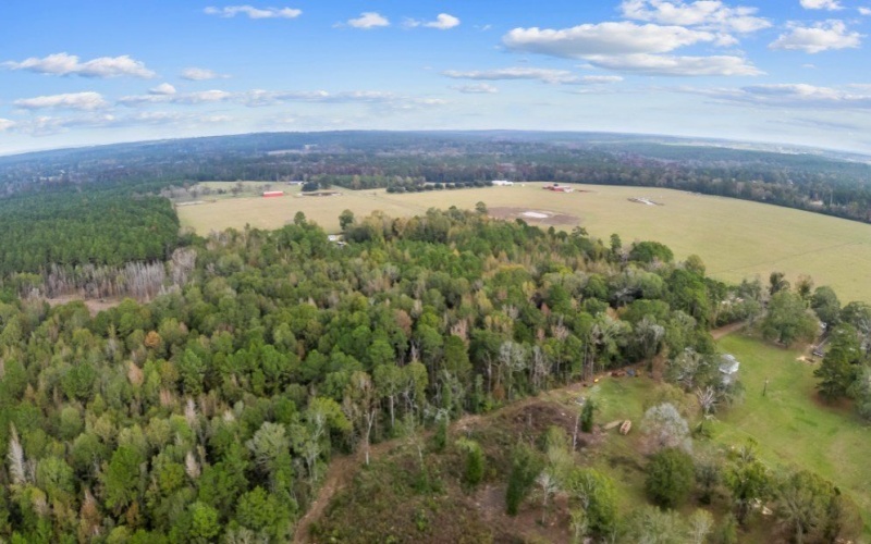 1556 FM 254 S, Jasper, TX 75951, 1 Bedroom Bedrooms, ,1 BathroomBathrooms,Residential,For Sale,1556 FM 254 S,0,5107851