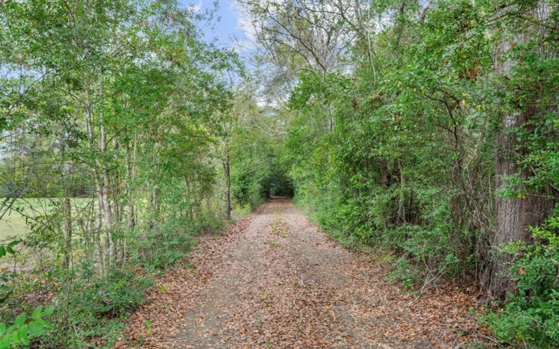 1556 FM 254 S, Jasper, TX 75951, 1 Bedroom Bedrooms, ,1 BathroomBathrooms,Residential,For Sale,1556 FM 254 S,0,5107851