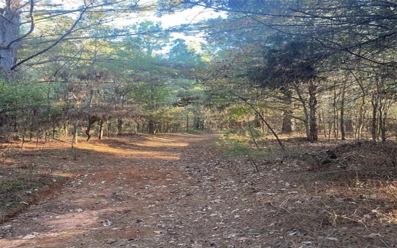 000 Meadow View Lane, Flint, TX 75762, ,Commercial Sale,For Sale,000 Meadow View Lane,0,21030012