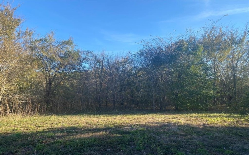 000 Meadow View Lane, Flint, TX 75762, ,Commercial Sale,For Sale,000 Meadow View Lane,0,21030012