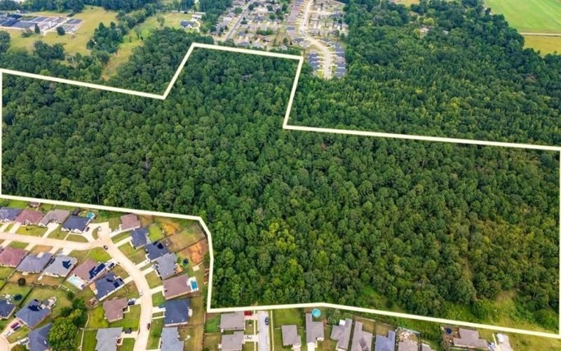 000 Meadow View Lane, Flint, TX 75762, ,Commercial Sale,For Sale,000 Meadow View Lane,0,21030012