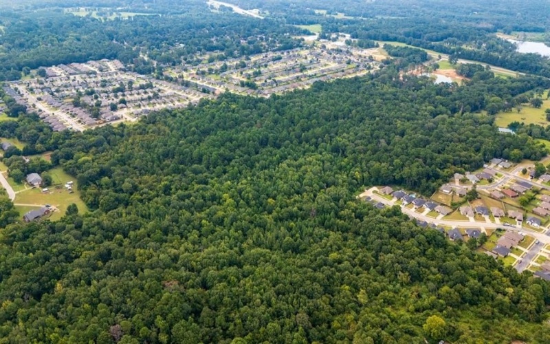 000 Meadow View Lane, Flint, TX 75762, ,Commercial Sale,For Sale,000 Meadow View Lane,0,21030012