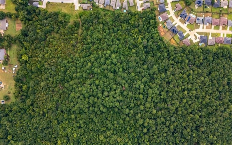 000 Meadow View Lane, Flint, TX 75762, ,Commercial Sale,For Sale,000 Meadow View Lane,0,21030012