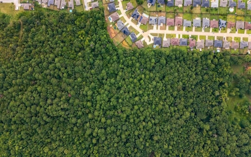 000 Meadow View Lane, Flint, TX 75762, ,Commercial Sale,For Sale,000 Meadow View Lane,0,21030012