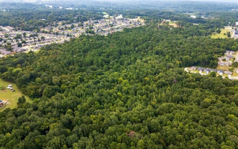 000 Meadow View Lane, Flint, TX 75762, ,Commercial Sale,For Sale,000 Meadow View Lane,0,21030012