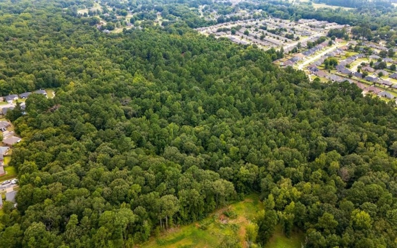 000 Meadow View Lane, Flint, TX 75762, ,Commercial Sale,For Sale,000 Meadow View Lane,0,21030012