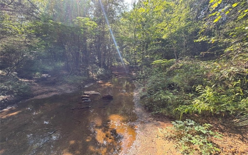 000 Meadow View Lane, Flint, TX 75762, ,Commercial Sale,For Sale,000 Meadow View Lane,0,21030012