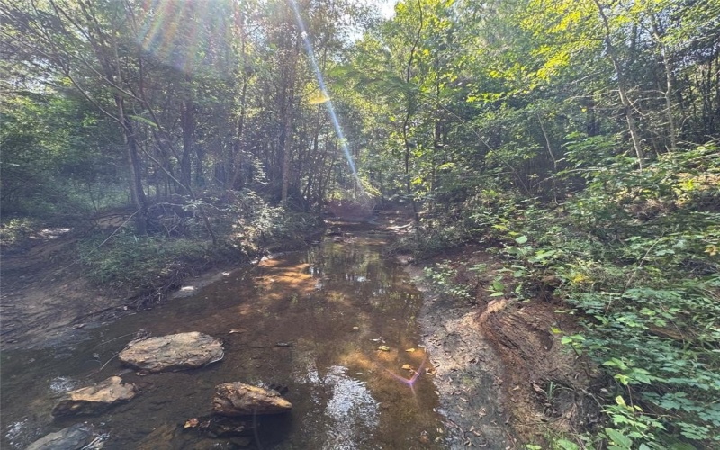 000 Meadow View Lane, Flint, TX 75762, ,Commercial Sale,For Sale,000 Meadow View Lane,0,21030012