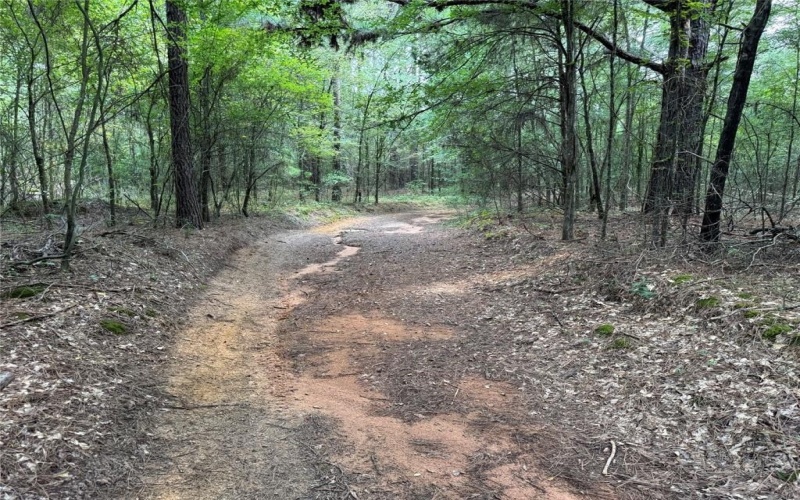 000 Meadow View Lane, Flint, TX 75762, ,Commercial Sale,For Sale,000 Meadow View Lane,0,21030012