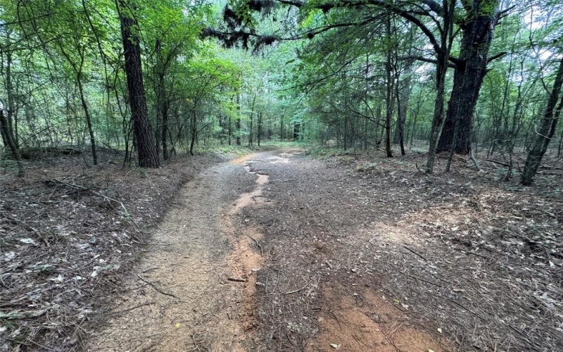 000 Meadow View Lane, Flint, TX 75762, ,Commercial Sale,For Sale,000 Meadow View Lane,0,21030012