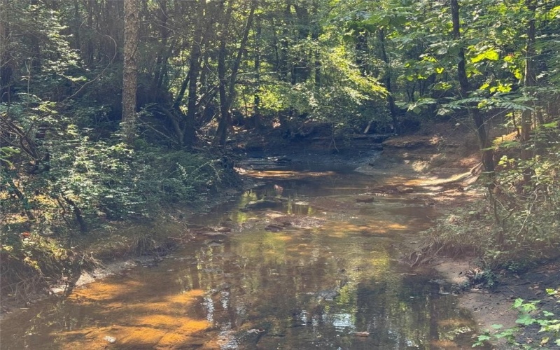 000 Meadow View Lane, Flint, TX 75762, ,Commercial Sale,For Sale,000 Meadow View Lane,0,21030012