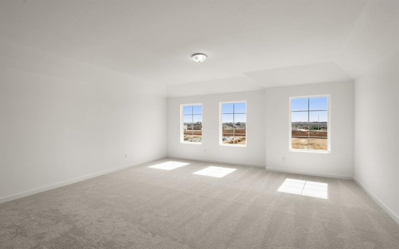 665 Tyronza Drive, Justin, TX 76247, 4 Habitaciones Habitaciones , ,3 BañosBaños,Residential,En Venta,665 Tyronza Drive,0,21169807