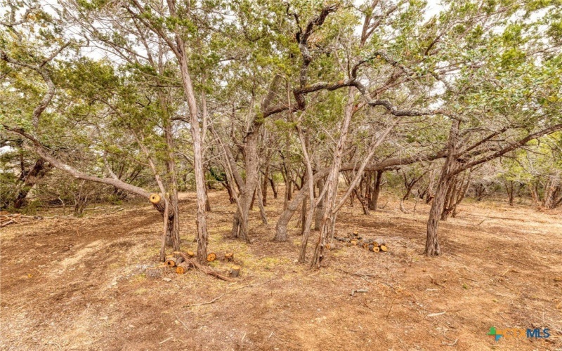 1595 Rocky Ridge Loop, Canyon Lake, TX 78133, 3 Habitaciones Habitaciones , ,2 BañosBaños,Residential,En Venta,1595 Rocky Ridge Loop,0,603339