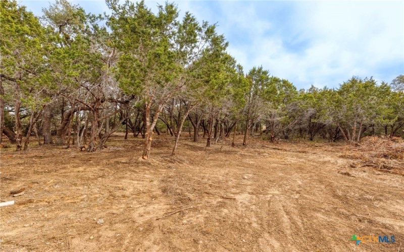 1595 Rocky Ridge Loop, Canyon Lake, TX 78133, 3 Habitaciones Habitaciones , ,2 BañosBaños,Residential,En Venta,1595 Rocky Ridge Loop,0,603339