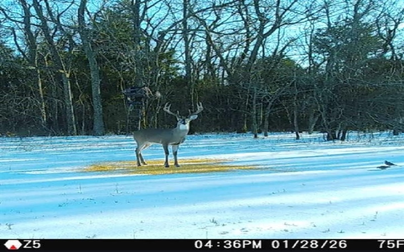 1151 CR 24900 Road, Roxton, TX 75477, 2 Bedrooms Bedrooms, ,1 BathroomBathrooms,Residential,For Sale,1151 CR 24900 Road,0,21169115