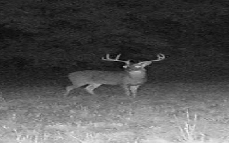 1151 CR 24900 Road, Roxton, TX 75477, 2 Bedrooms Bedrooms, ,1 BathroomBathrooms,Residential,For Sale,1151 CR 24900 Road,0,21169115