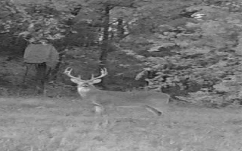 1151 CR 24900 Road, Roxton, TX 75477, 2 Bedrooms Bedrooms, ,1 BathroomBathrooms,Residential,For Sale,1151 CR 24900 Road,0,21169115