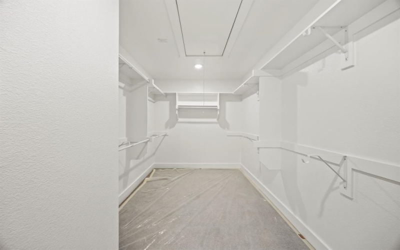 317 Chestnut Street, Celina, TX 75009, 3 Habitaciones Habitaciones , ,2 BañosBaños,Residential,En Venta,317 Chestnut Street,0,21170788