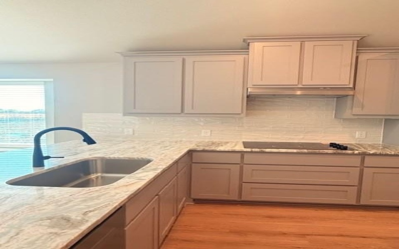 1953 Nightfall Drive, Venus, TX 76009, 4 Habitaciones Habitaciones , ,3 BañosBaños,Residential,En Venta,1953 Nightfall Drive,0,21170796