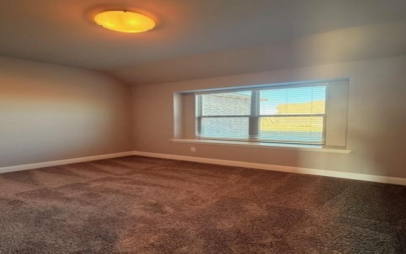 1953 Nightfall Drive, Venus, TX 76009, 4 Habitaciones Habitaciones , ,3 BañosBaños,Residential,En Venta,1953 Nightfall Drive,0,21170796