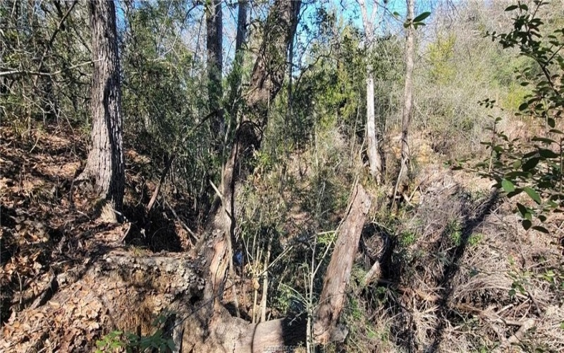 2708 Yorkshire Trail, Franklin, TX 77856, 3 Habitaciones Habitaciones , ,2 BañosBaños,Residential,En Venta,2708 Yorkshire Trail,0,26001529