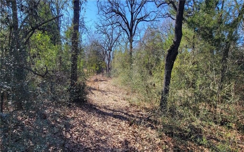 2708 Yorkshire Trail, Franklin, TX 77856, 3 Habitaciones Habitaciones , ,2 BañosBaños,Residential,En Venta,2708 Yorkshire Trail,0,26001529