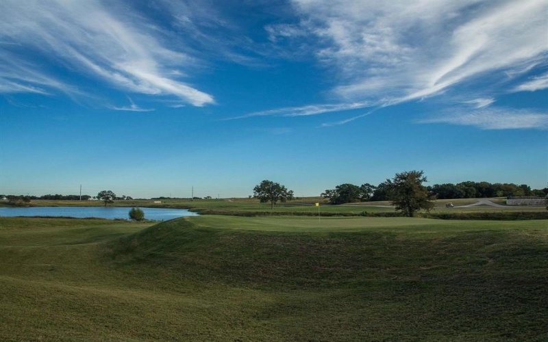 1065 Birdie Street, Gunter, TX 75058, 4 Bedrooms Bedrooms, ,2 BathroomsBathrooms,Residential,For Sale,1065 Birdie Street,0,21168916