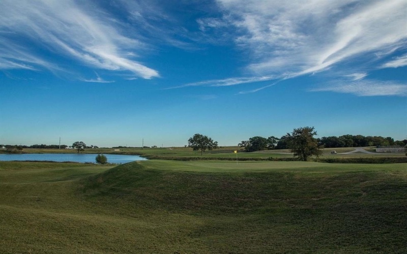 1055 Birdie Street, Gunter, TX 75058, 4 Bedrooms Bedrooms, ,2 BathroomsBathrooms,Residential,For Sale,1055 Birdie Street,0,21168923