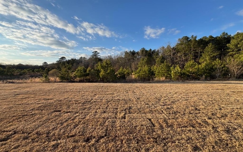 377 Camden Hill Street, Haughton, LA 71037, 4 Habitaciones Habitaciones , ,2 BañosBaños,Residential,En Venta,377 Camden Hill Street,0,21172840