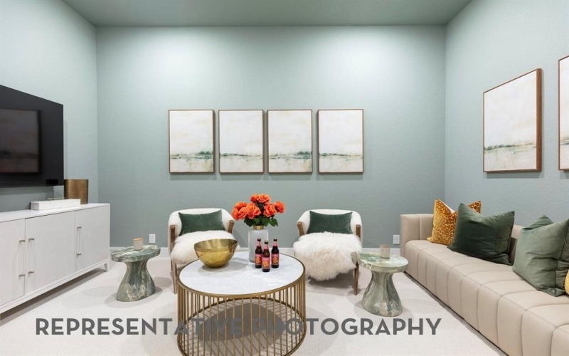 3529 Pink Petal Drive, Midlothian, TX 76084, 4 Bedrooms Bedrooms, ,5 BathroomsBathrooms,Residential,For Sale,3529 Pink Petal Drive,0,21173382