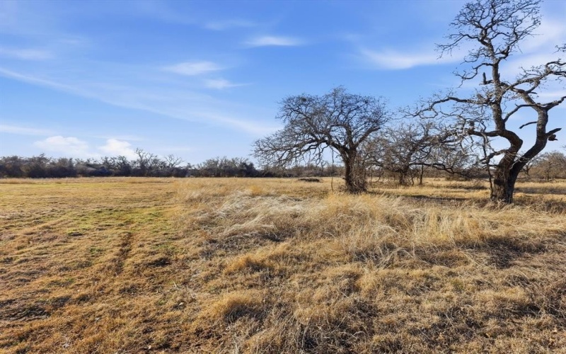 231 Julian Lane, Poolville, TX 76487, 3 Habitaciones Habitaciones , ,2 BañosBaños,Residential,En Venta,231 Julian Lane,0,21173956