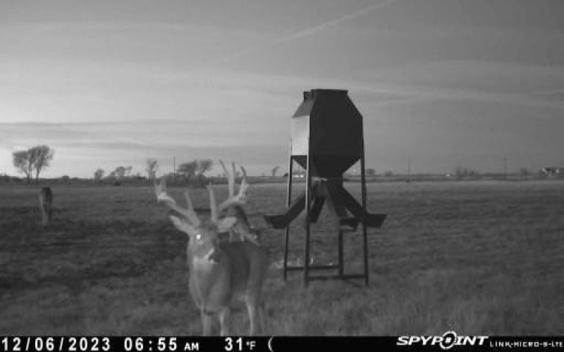 4251 Refuge Road, Sherman, TX 75092, 5 Bedrooms Bedrooms, ,2 BathroomsBathrooms,Residential,For Sale,4251 Refuge Road,0,21174995