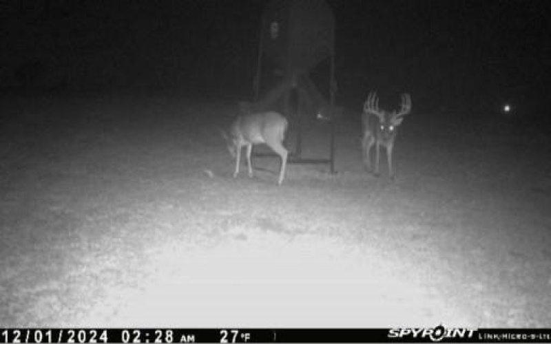 4251 Refuge Road, Sherman, TX 75092, 5 Bedrooms Bedrooms, ,2 BathroomsBathrooms,Residential,For Sale,4251 Refuge Road,0,21174995