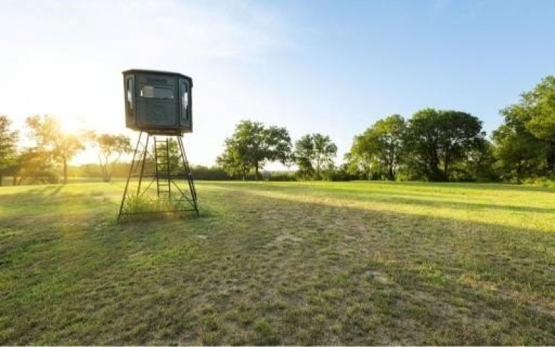 4251 Refuge Road, Sherman, TX 75092, 5 Bedrooms Bedrooms, ,2 BathroomsBathrooms,Residential,For Sale,4251 Refuge Road,0,21174995