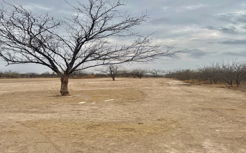 261 Dub Drive, Eagle Pass, TX 78852, 3 Habitaciones Habitaciones , ,2 BañosBaños,Residential,En Venta,261 Dub Drive,0,83095