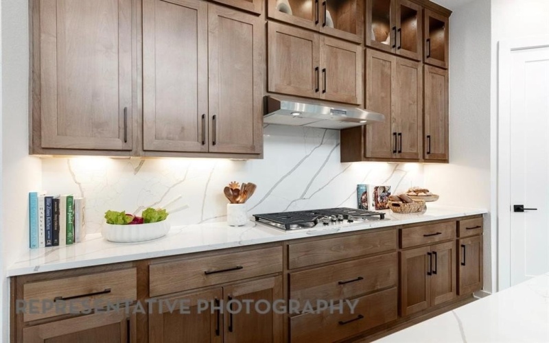 3725 American Paint Drive, Aubrey, TX 76227, 4 Bedrooms Bedrooms, ,3 BathroomsBathrooms,Residential,For Sale,3725 American Paint Drive,0,21176421