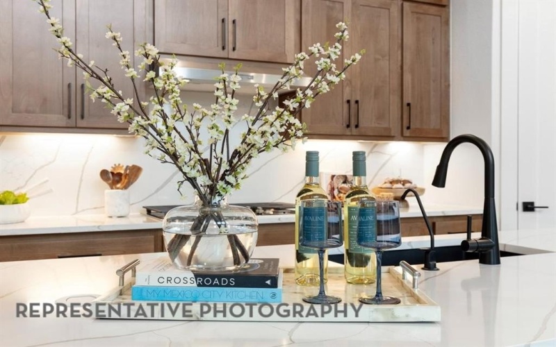 3725 American Paint Drive, Aubrey, TX 76227, 4 Bedrooms Bedrooms, ,3 BathroomsBathrooms,Residential,For Sale,3725 American Paint Drive,0,21176421