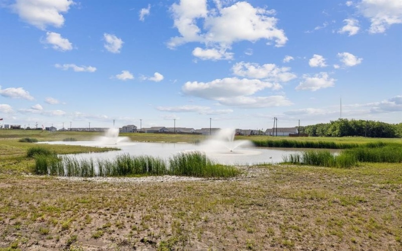 2479 Arbutus Drive, Forney, TX 75126, 4 Bedrooms Bedrooms, ,2 BathroomsBathrooms,Residential,For Sale,2479 Arbutus Drive,0,21177447