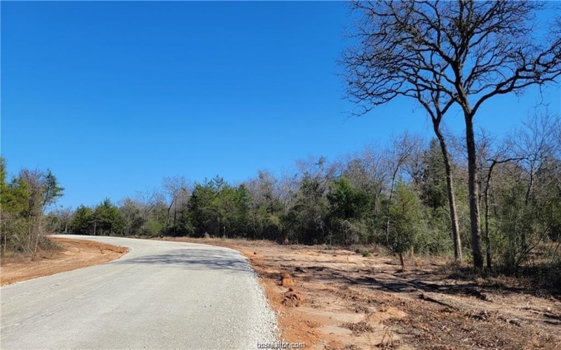High Meadow Trail lot: 23, Franklin, TX 77856, 4 Bedrooms Bedrooms, ,2 BathroomsBathrooms,Residential,For Sale,High Meadow Trail lot: 23,0,26001916