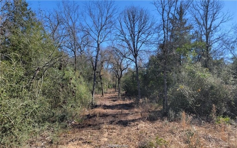 High Meadow Trail lot: 12, Franklin, TX 77856, 4 Habitaciones Habitaciones , ,2 BañosBaños,Residential,En Venta,High Meadow Trail lot: 12,0,26001920