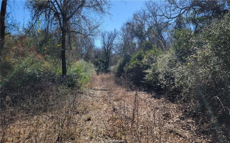 High Meadow Trail lot: 12, Franklin, TX 77856, 4 Habitaciones Habitaciones , ,2 BañosBaños,Residential,En Venta,High Meadow Trail lot: 12,0,26001920