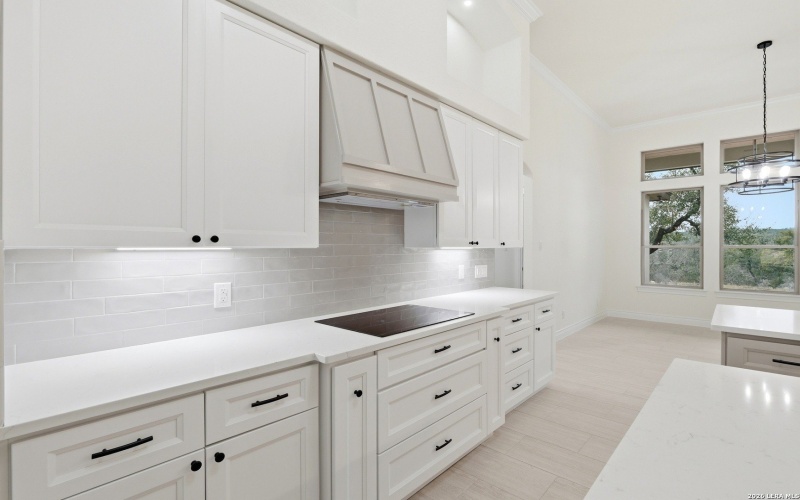 412 Havasu, Spring Branch, TX 78070, 4 Bedrooms Bedrooms, ,2 BathroomsBathrooms,Residential,For Sale,412 Havasu,0,1941057