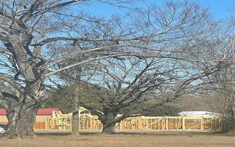 335 Wells Street, Emory, TX 75440, 3 Bedrooms Bedrooms, ,2 BathroomsBathrooms,Residential,For Sale,335 Wells Street,0,21168893