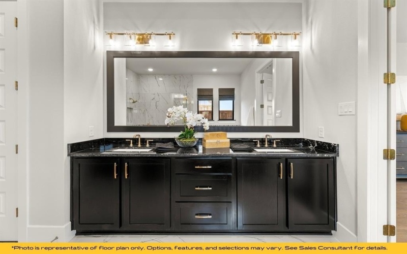 343 Fire Blade Drive, Aledo, TX 76008, 4 Bedrooms Bedrooms, ,3 BathroomsBathrooms,Residential,For Sale,343 Fire Blade Drive,0,21180403