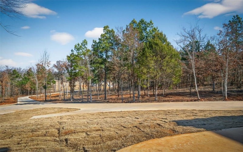 16943 Ridgeline Loop, Winona, TX 75792, 4 Habitaciones Habitaciones , ,2 BañosBaños,Residential,En Venta,16943 Ridgeline Loop,0,21175517