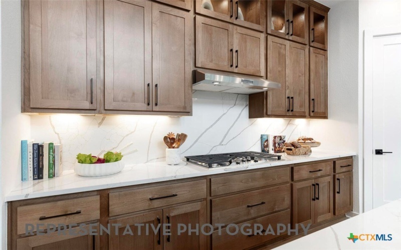 113 Gazelle Point, Cibolo, TX 78108, 5 Habitaciones Habitaciones , ,5 BañosBaños,Residential,En Venta,113 Gazelle Point,0,604733