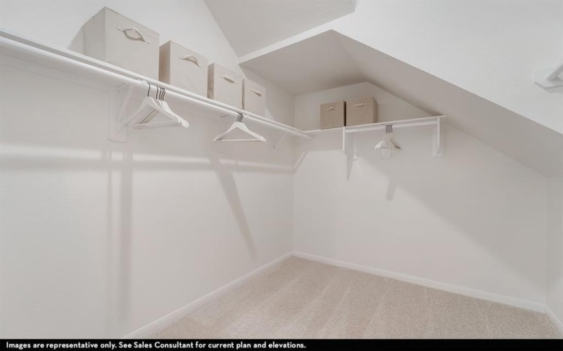 1428 Bramante Street, Celina, TX 75009, 4 Bedrooms Bedrooms, ,2 BathroomsBathrooms,Residential,For Sale,1428 Bramante Street,0,21182296