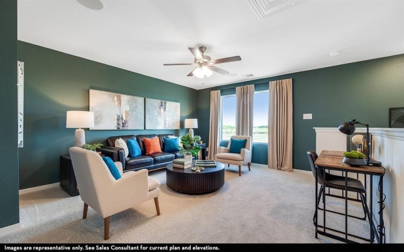 1428 Bramante Street, Celina, TX 75009, 4 Bedrooms Bedrooms, ,2 BathroomsBathrooms,Residential,For Sale,1428 Bramante Street,0,21182296