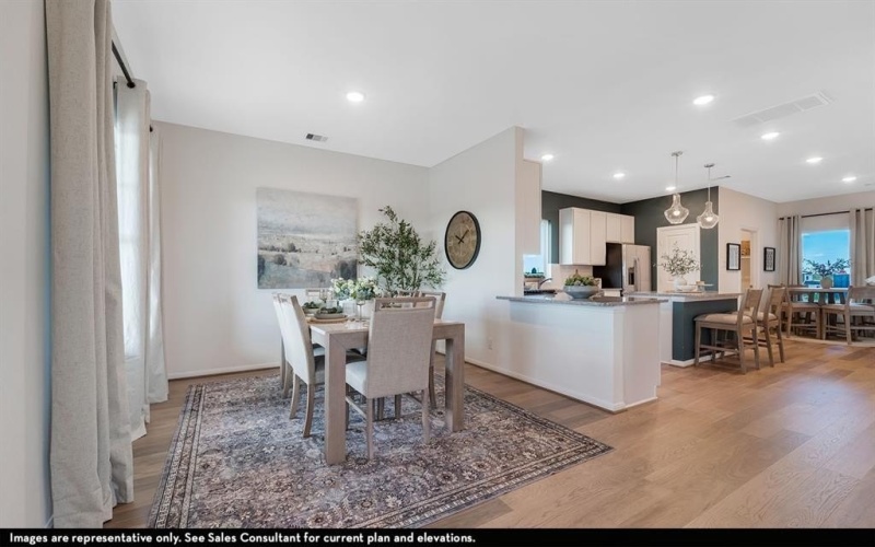 1428 Bramante Street, Celina, TX 75009, 4 Bedrooms Bedrooms, ,2 BathroomsBathrooms,Residential,For Sale,1428 Bramante Street,0,21182296